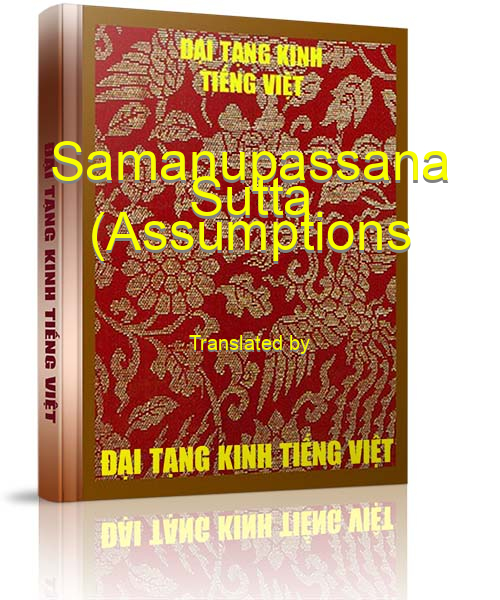 Đại Tạng Kinh Việt Nam